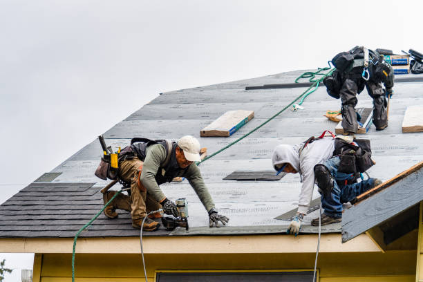 Professional Gutter Installation technician working in Pineland, TX